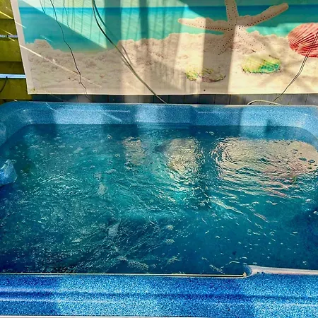 Cozy Comfortable House With Jacuzzi & Private Garden Near Amsterdam * Vijfhuizen