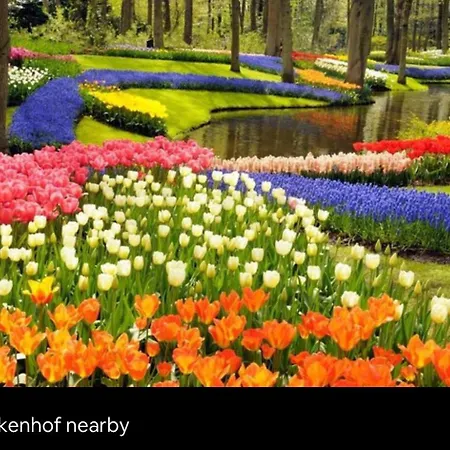 Cozy Comfortable House With Jacuzzi & Private Garden Near Amsterdam *