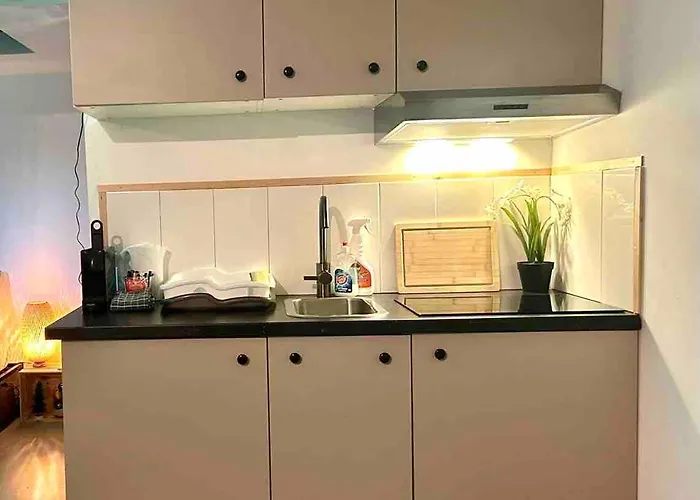 Cozy Comfortable House With Jacuzzi & Private Garden Near Amsterdam Vijfhuizen