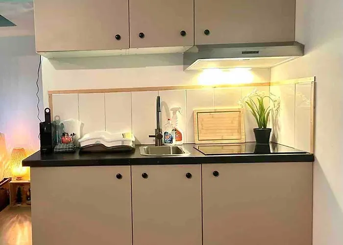 Cozy Comfortable House With Jacuzzi & Private Garden Near Amsterdam Vijfhuizen