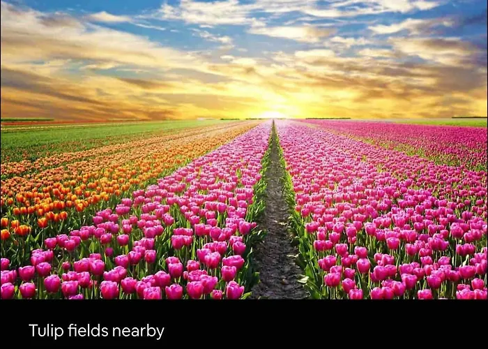 Caribbean Style House With Jacuzzi&private Garden Near Amsterdam Vakantiehuis Vijfhuizen