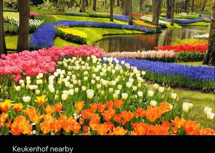 Vakantiehuis Caribbean Style House With Jacuzzi&private Garden Near Amsterdam